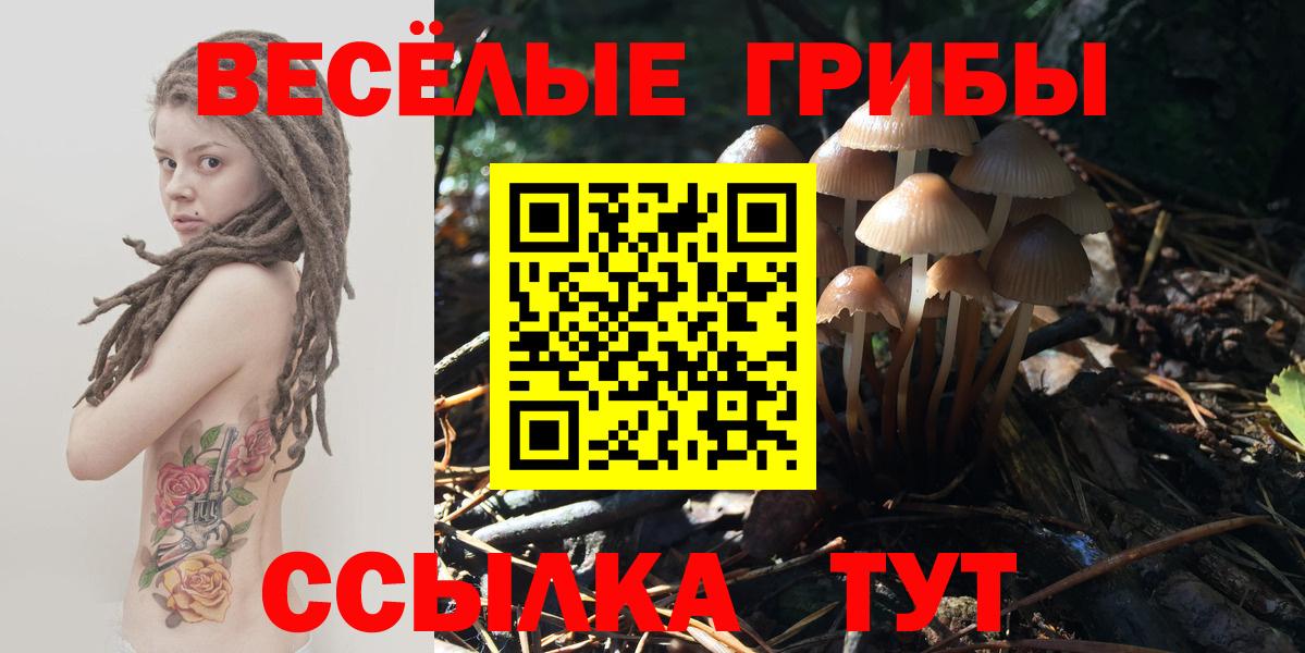 Псилоцибиновые грибы GOLDEN TEACHER Урай